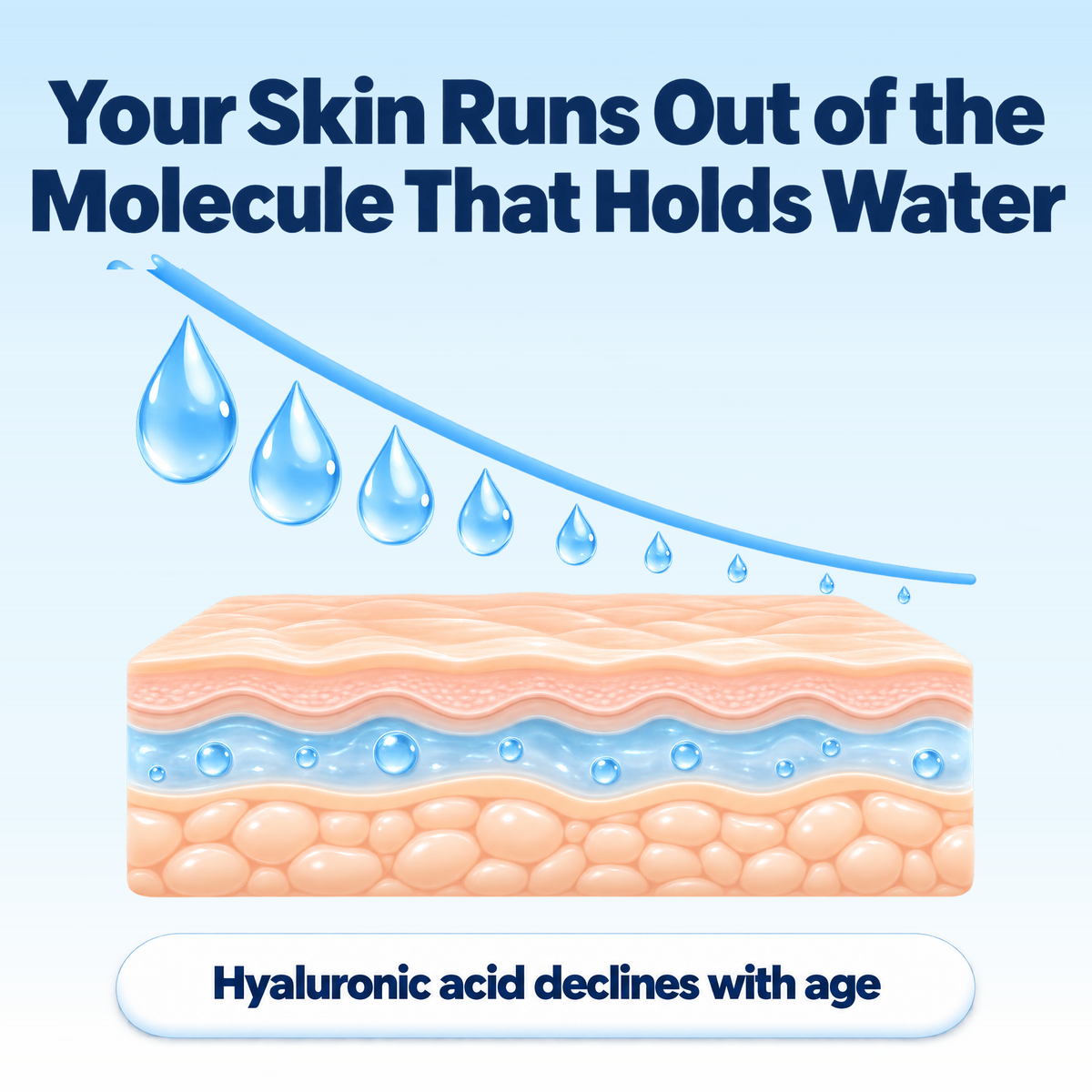 Hyaluronic acid in skin declining with age